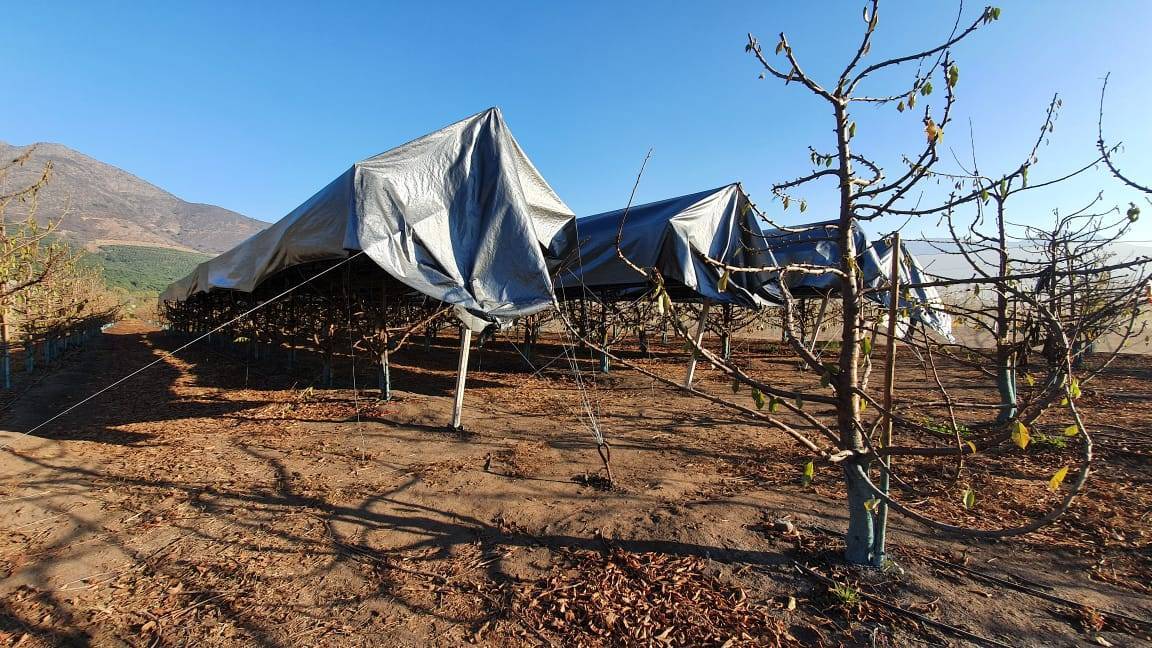 agricooler|WhatsApp Image 2020-10-29 at 11.39.37 (1)|agralia-agricooler|agralia-agricooler|agralia-agricooler|graf2